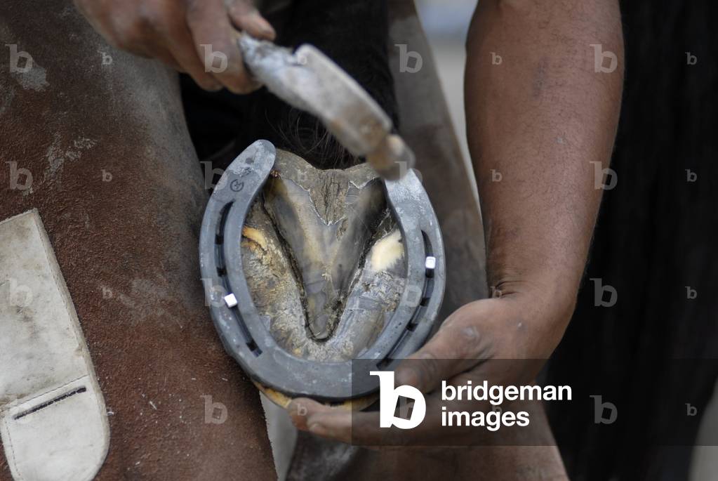 Ferrant Marechal/Horseshoe