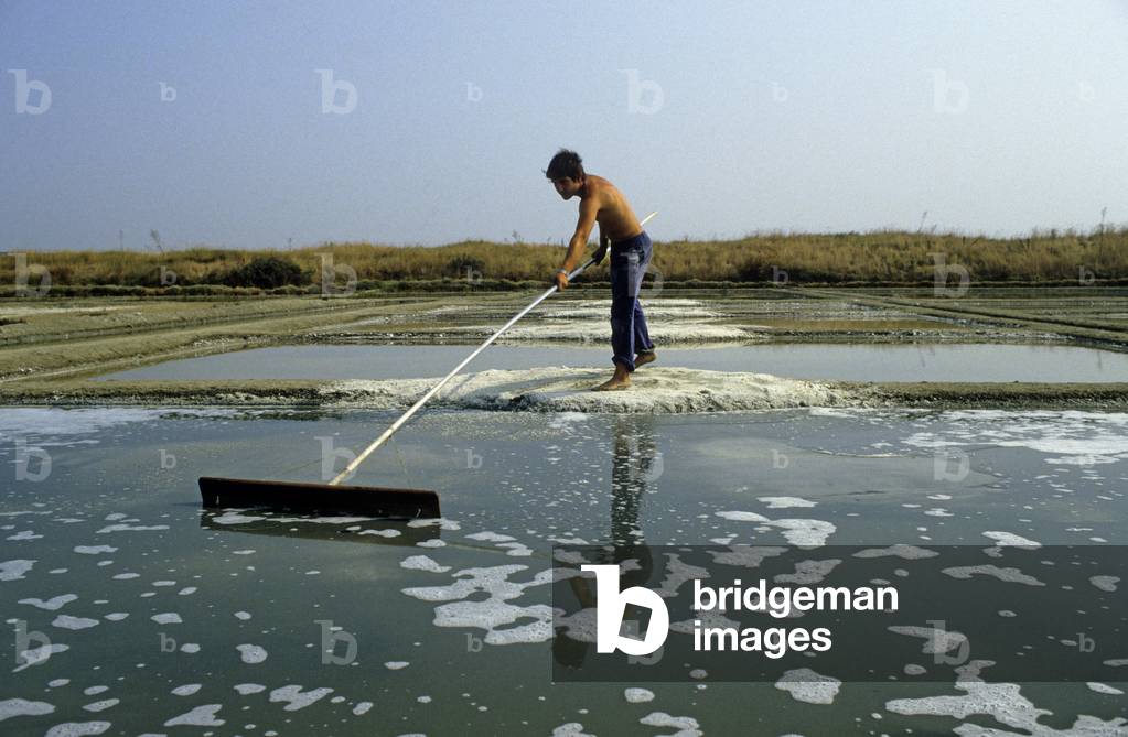 Paludier/Salt marshes/Guerande/Atlantic Loire/Pays de Loire/France