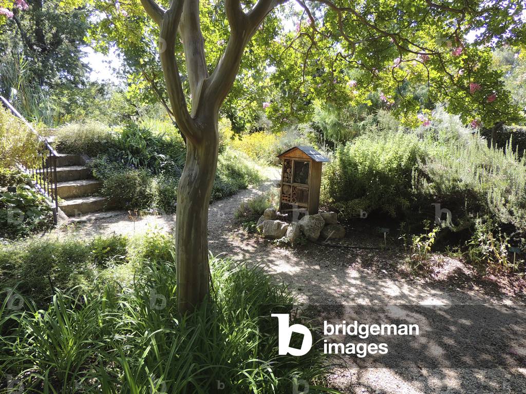 Garden the Harmas of Jean-Henri Fabre, Sérignan-du-Comtat, Vaucluse