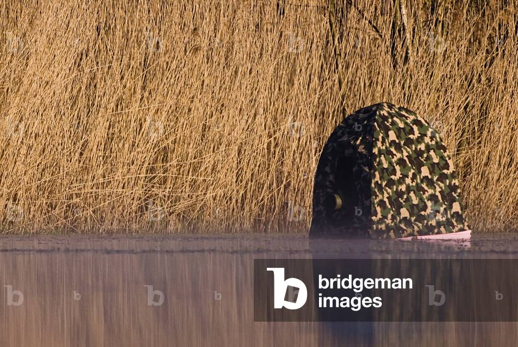 Floating Photographic Sharp