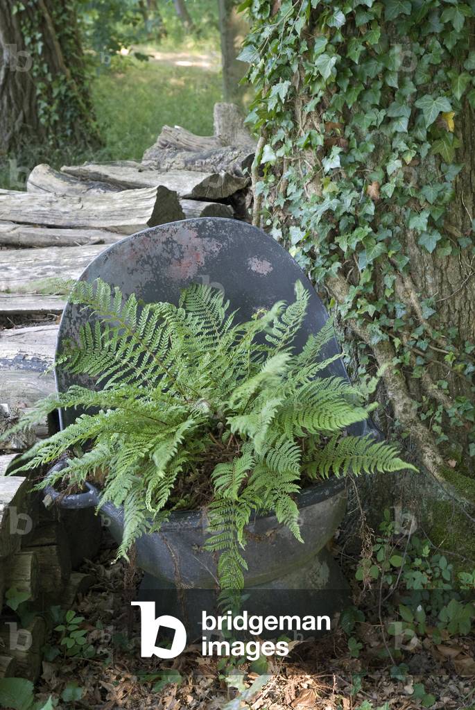 Jardin du Point du Jour/Verdelot/Seine and Marne/Ile de France/France