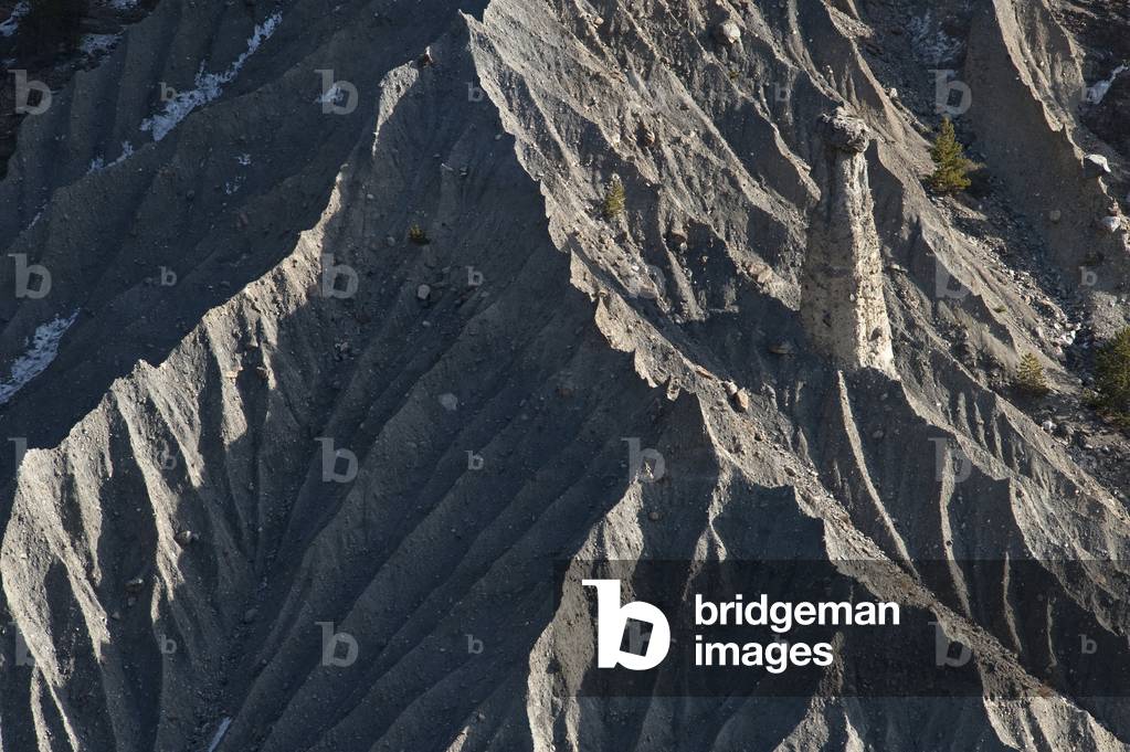 Ladies styled from Theus/Hautes Alpes/Provence Alpes Cote d'Azur/France