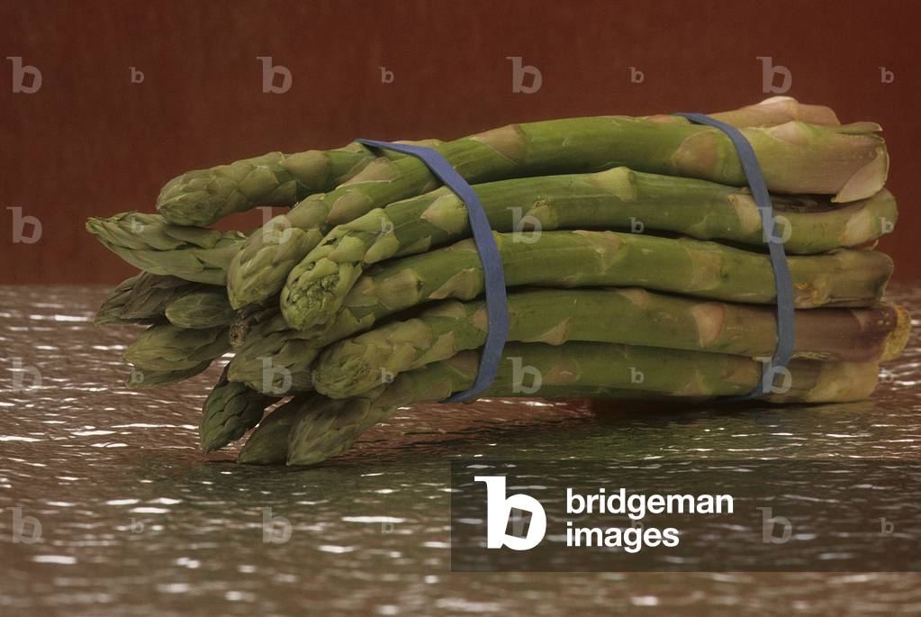 Asparagus officinalis/Asparagus/Asparagus