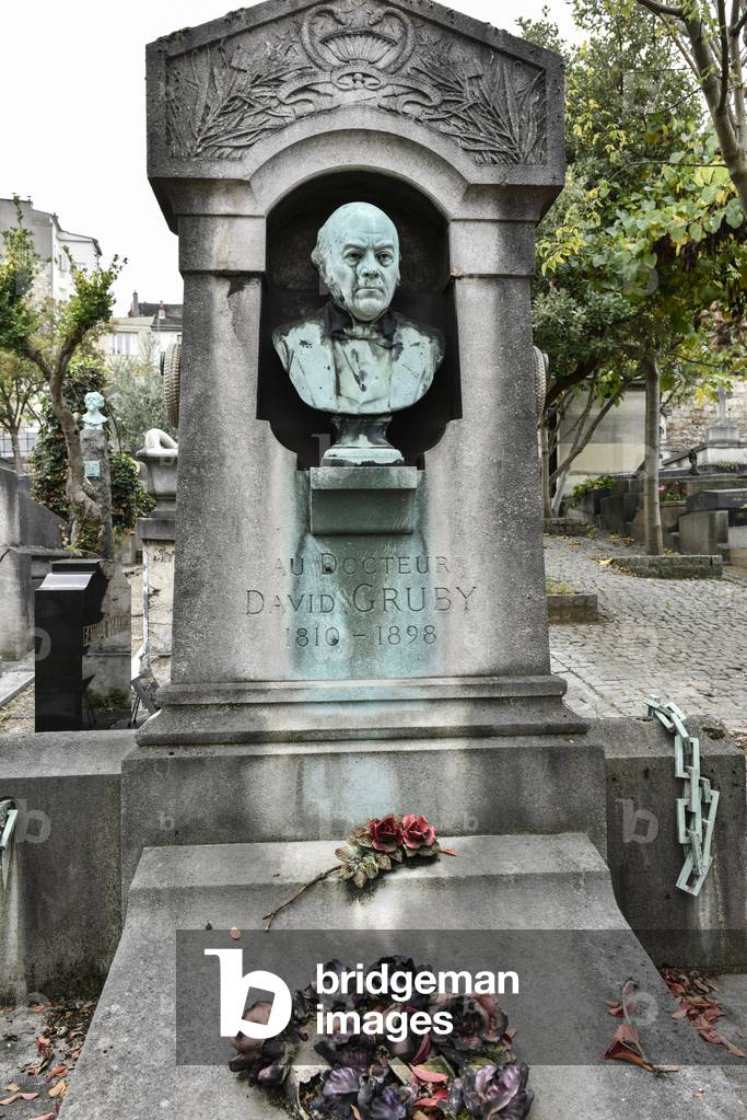 Saint Vincent Cemetery/Rue Lucien Gaulard/David Gruby (1810-1898)/Paris XVIII/Ile de France/France
