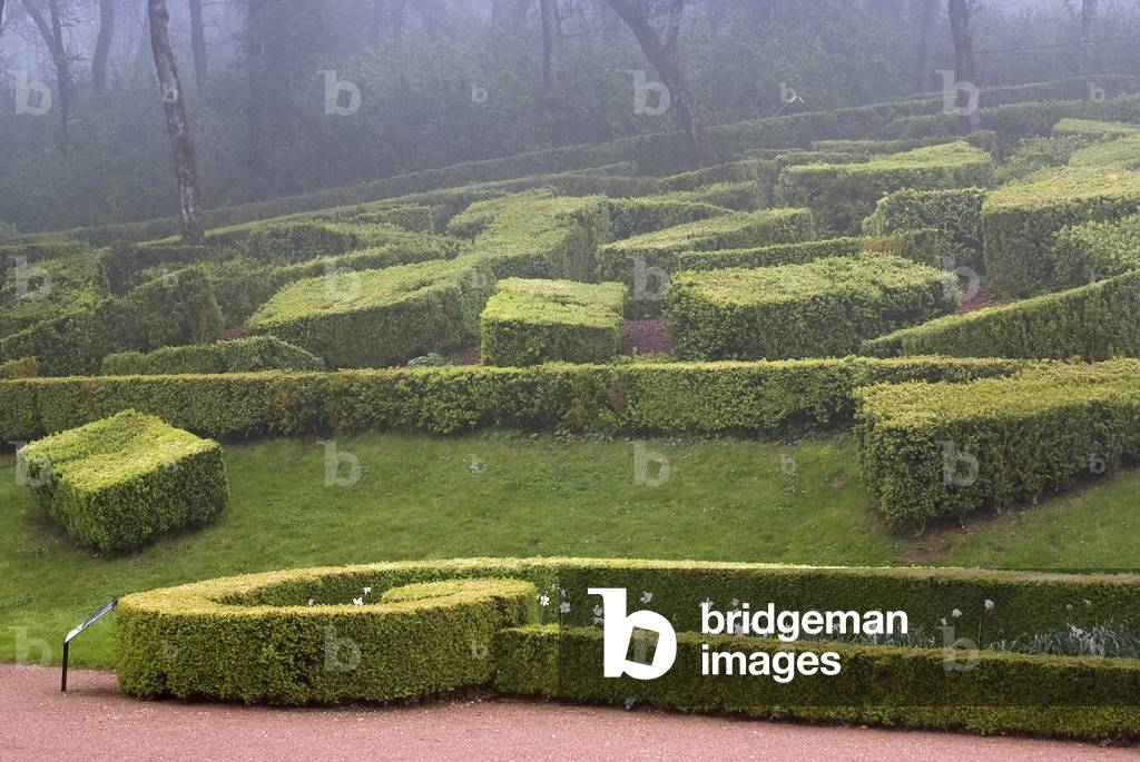 Hanging gardens of the castle of Marqueyssac/Buxus sempervirens/Boxwood/Dordogne/Aquitaine/France