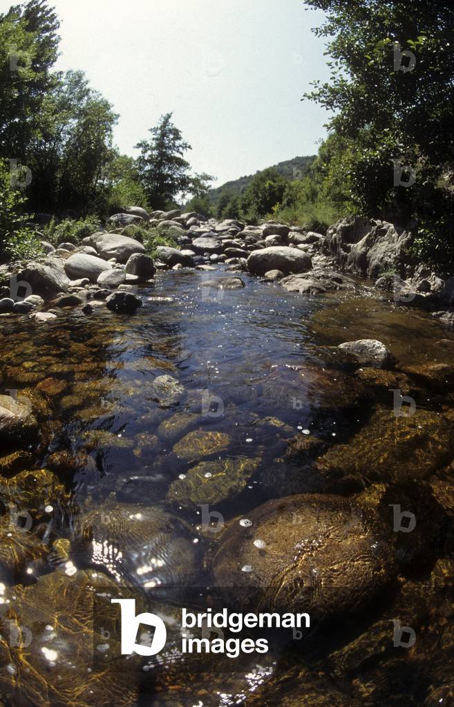 Riviere/Ardeche/Rhone Alps/France