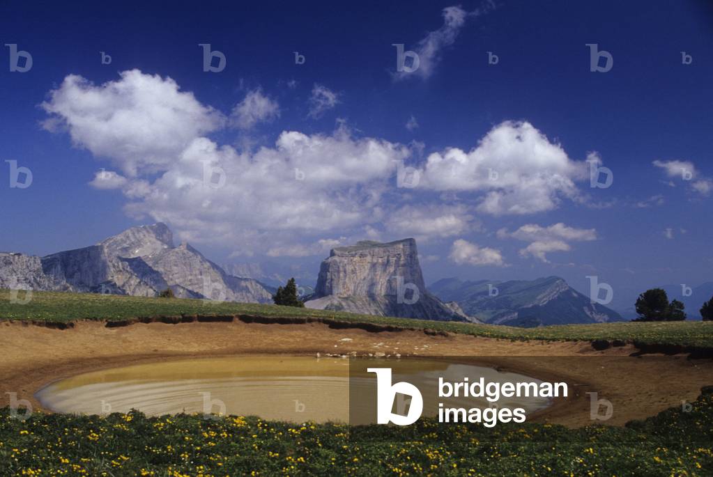 Mont Aiguille/Vercors Regional Park/Isere/Rhone Alps/France
