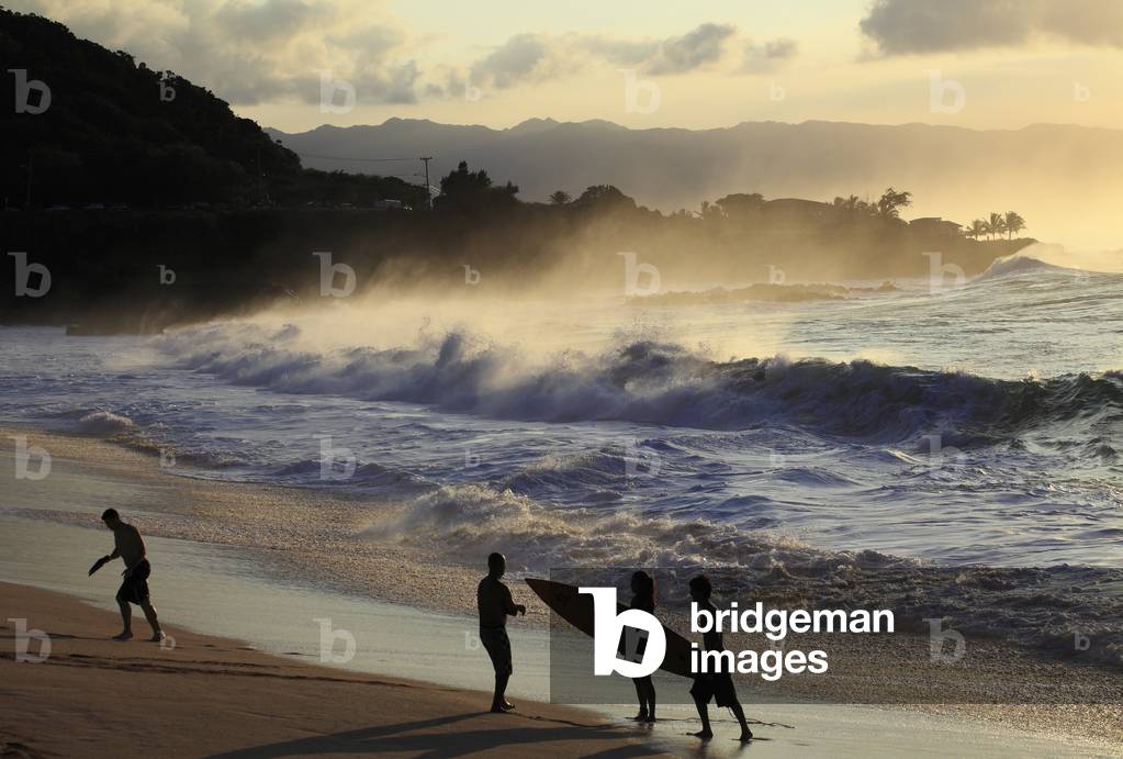Wave/Sea/Pacific Ocean/Hawai/Oahu (North Shore)/USA