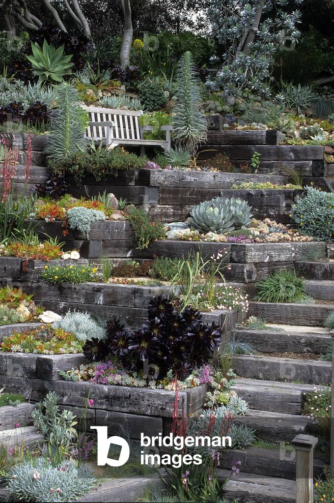 Succulent Garden/Railway Crossings