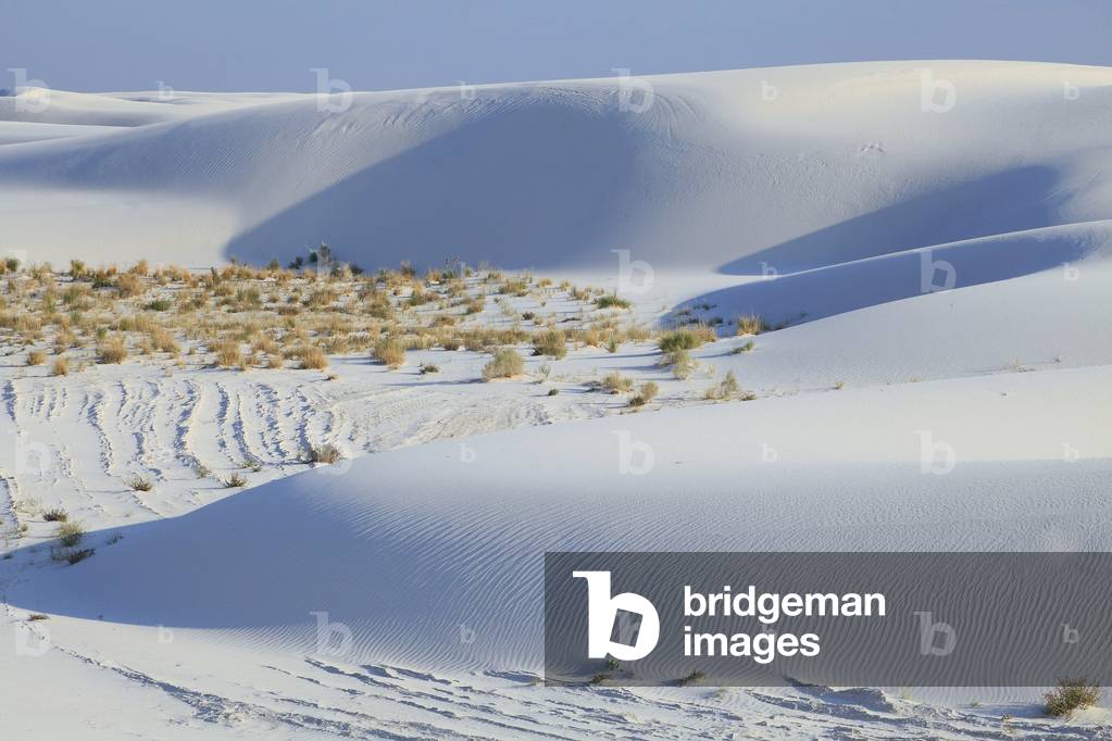 White Sands National Monument/Dunes and White Sand Desert/New Mexico/USA