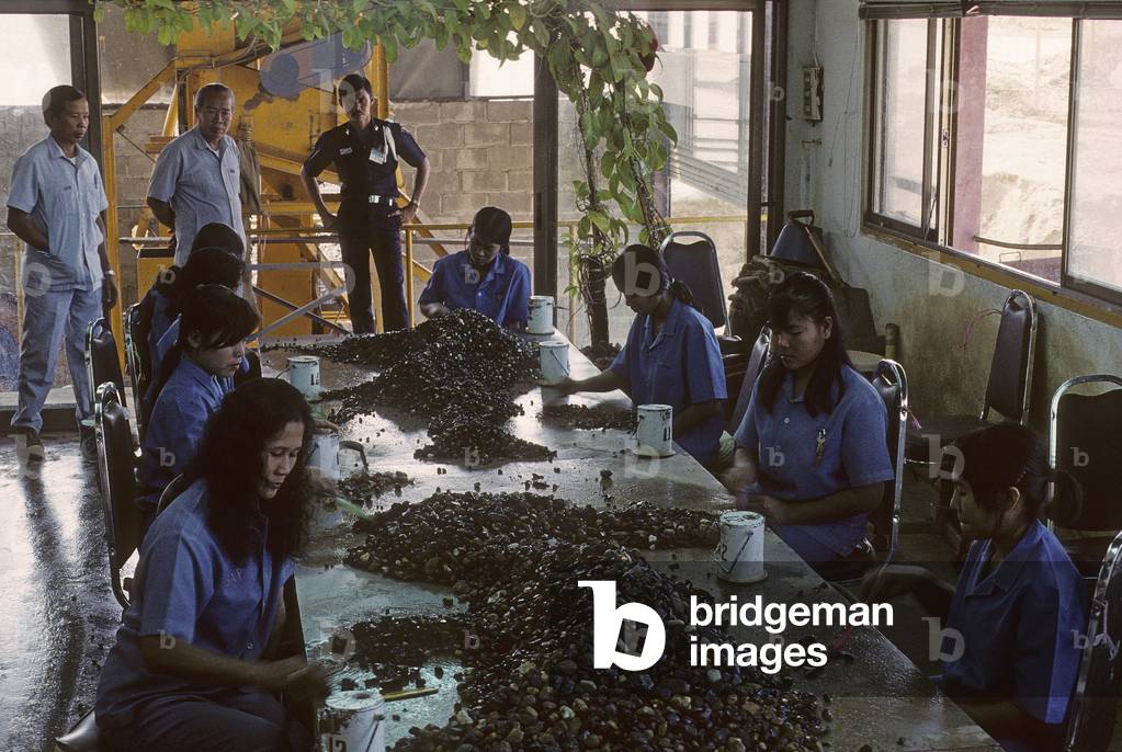 World's largest sapphire mining mine/Kanchanaburi/Thailand/Sapphire sorting