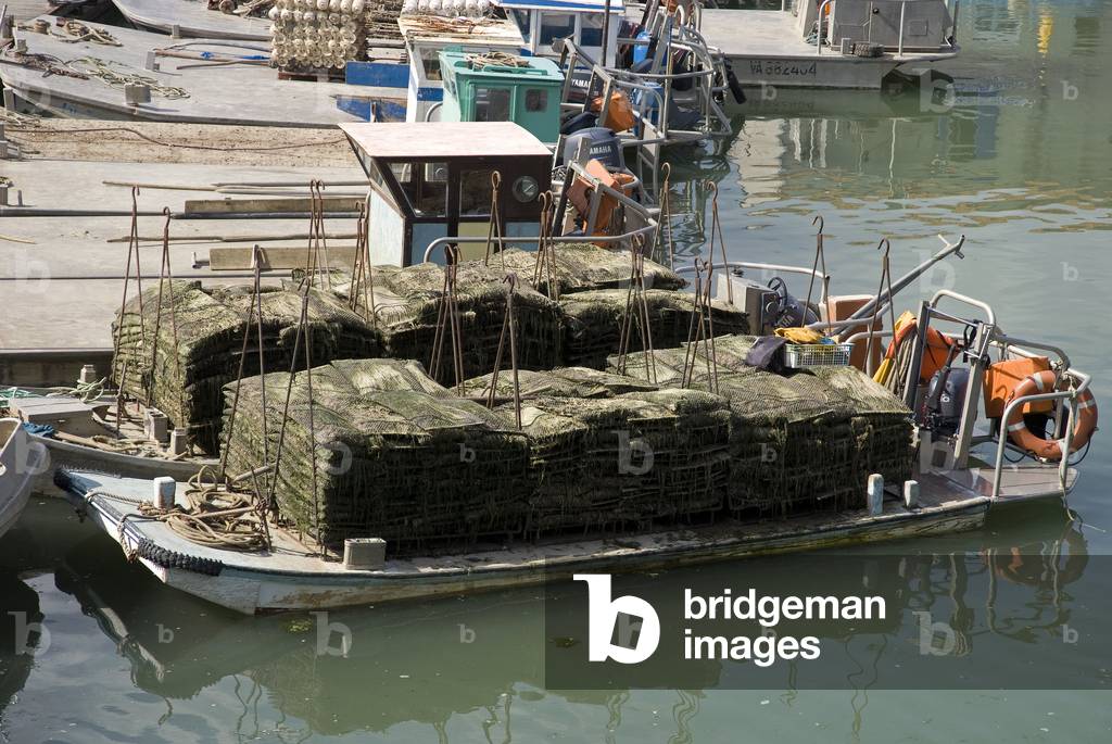 Port ostreicole/Chateau d'Oleron/Ile d'Oleron/Charente Maritime/Poitou Charente/France