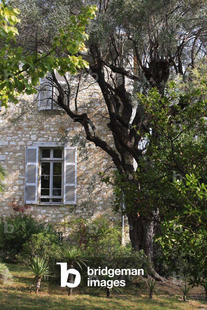 Last residence of Auguste Renoir/Domaine des Collettes/Musee Renoir/Cagnes sur Mer/Alpes Maritimes/Provence Alpes Cote d'Azur/France