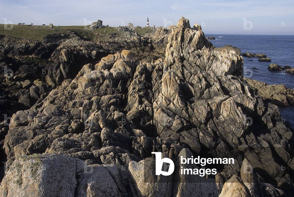 Cote Sauvage/Ile d'Ouessant/Finistere/Brittany/France