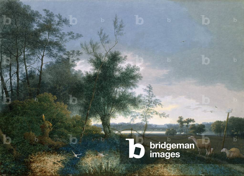 Landscape with a fox chasing geese