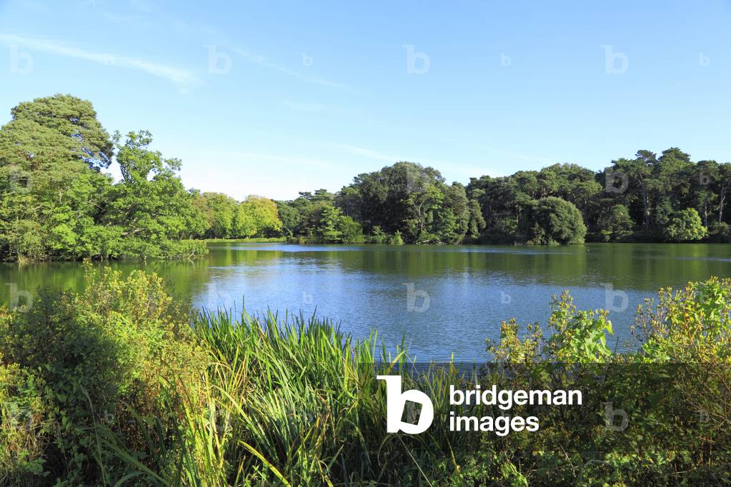 Holkham Park and Lake, Holkham Hall, Norfolk (photo)