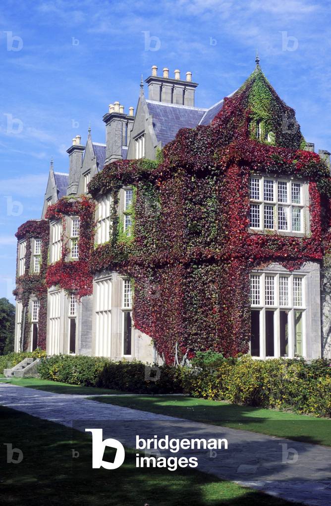 Muckross House (photo)