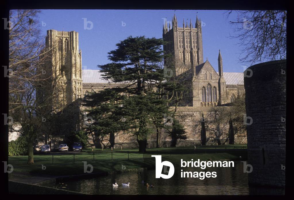Wells Cathedral and Moat (photo)
