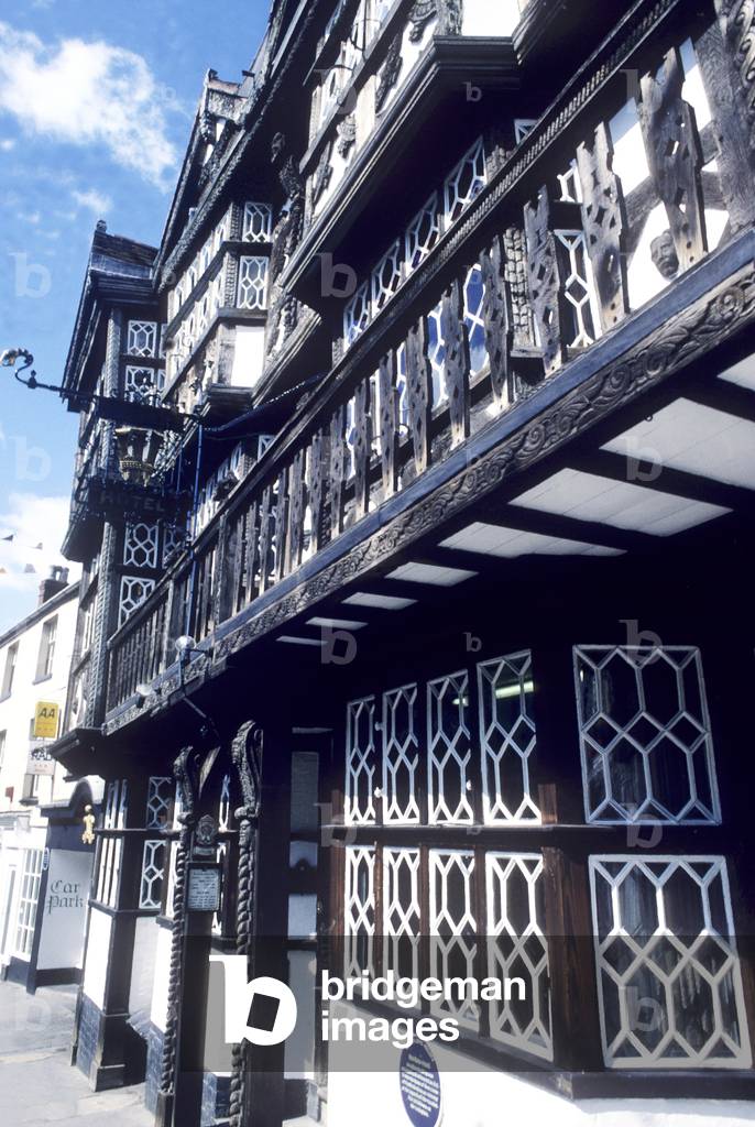 The Feathers Hotel (photo)