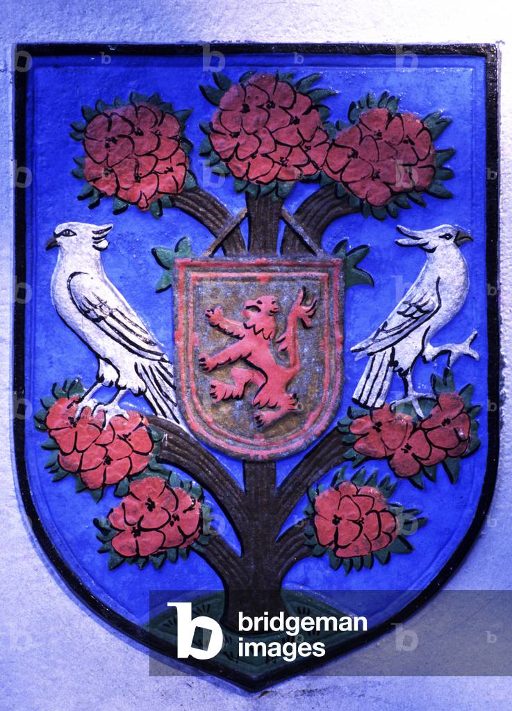 Kelso Coat of Arms (paint on stone)