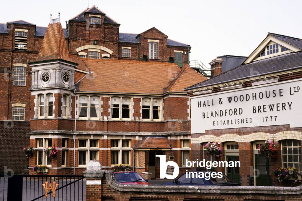 Hall and Woodhouse Brewery, Blandford Forum, Dorset (photo)