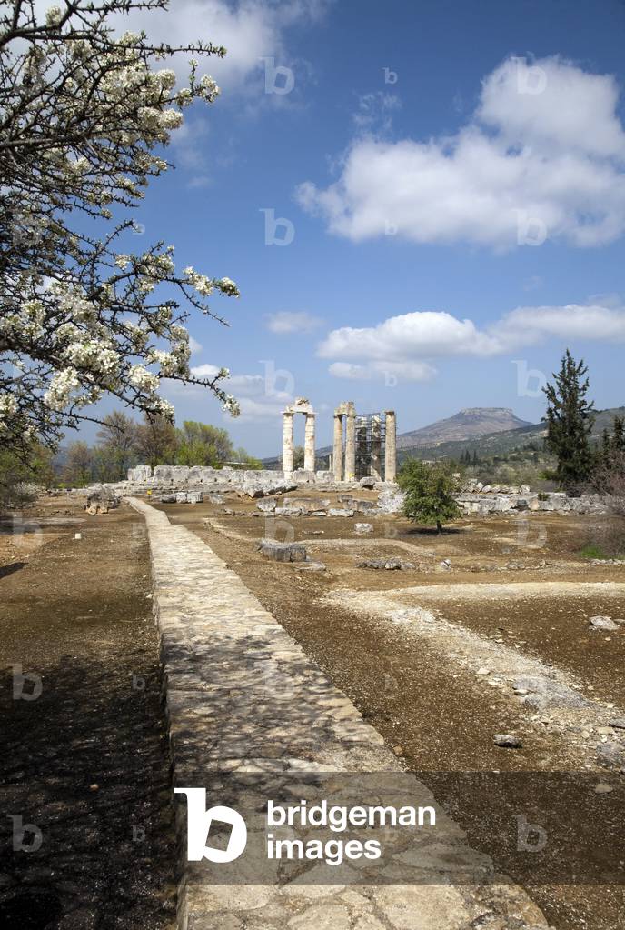 Image of The Temple of Zeus at Nemea, Greece. The columns that