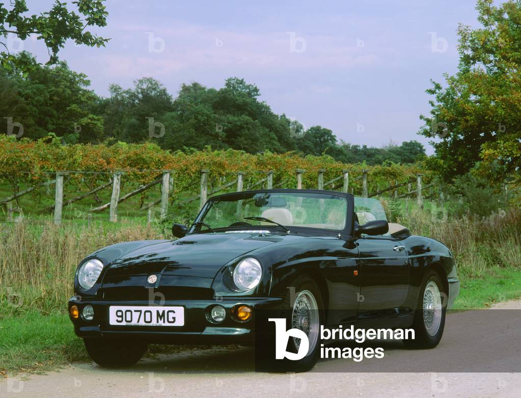 1994 MG RV8 in front of grape vines, National Motor Museum (photo) by