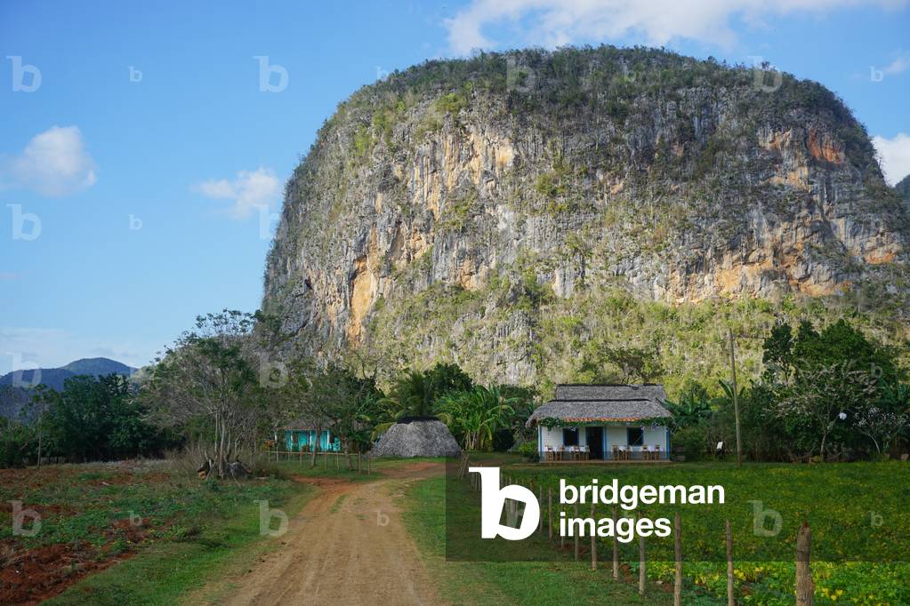 Vinales, Cuba (photo)