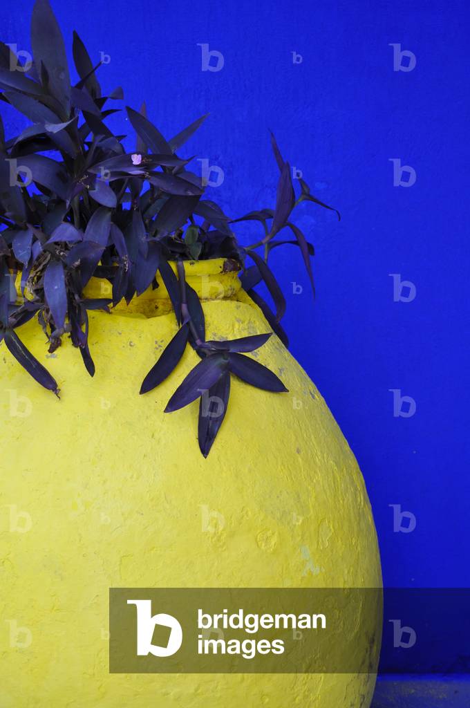 Jardin Majorelle, Marrakech, Morocco (photo)