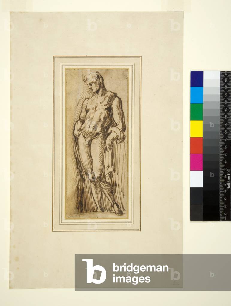 Study of an Antique Statue, 1550-1600 (pen and brown ink)