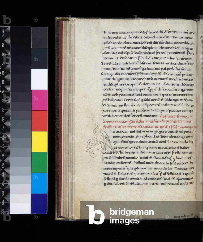 Ms 137. Augustine, Sermones de Verbis Domini, f.47v. Caroline miniscule hand with red initial [A] drawn as a bird with foliage emerging from its beak, 12th Century (parchment)