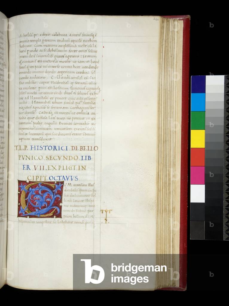 Ms 352. Livy, Ab Urbe Condita, 21-30, f.240r. Illuminated initial [C] with classicizing red and blue acanthus motifs, 1460-1470 (parchment)