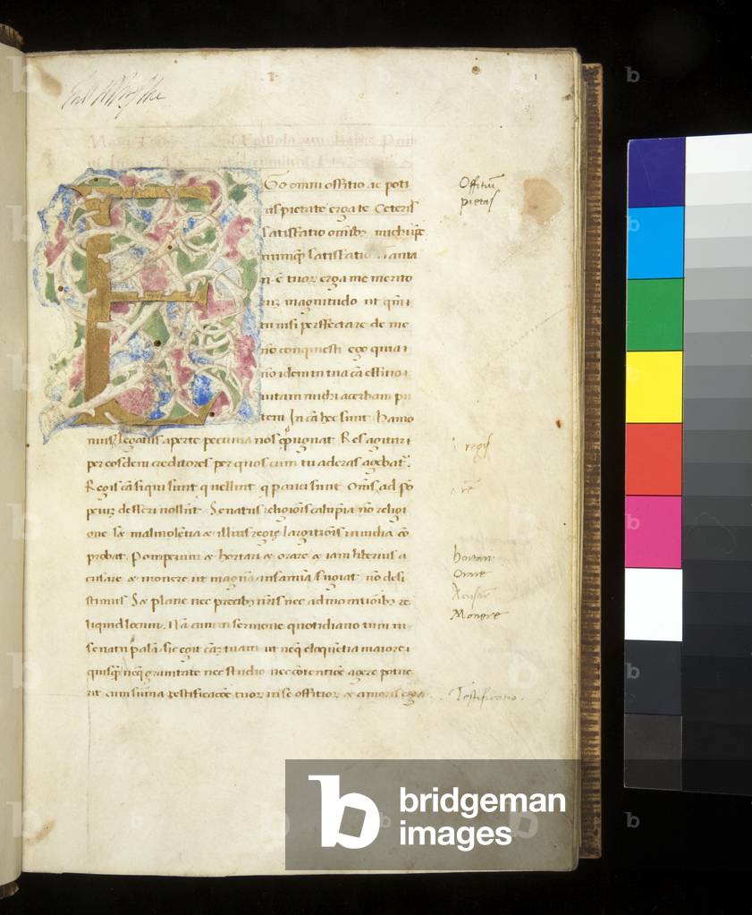 Ms 378. Cicero, Epistulae ad Familiares, f.1r. Illuminated initial [E] with scrolling white vine-stem decoration on ground of light green, pink and blue, North-East Italy, mid 15th Century (parchment)