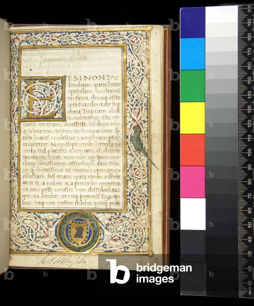 Ms 379. Cicero, Epistula as Q. Fratrem, and other works, f.1r. Illuminated border and initial [E] with white vine stem decoration, Rome, 15th Century (parchment)