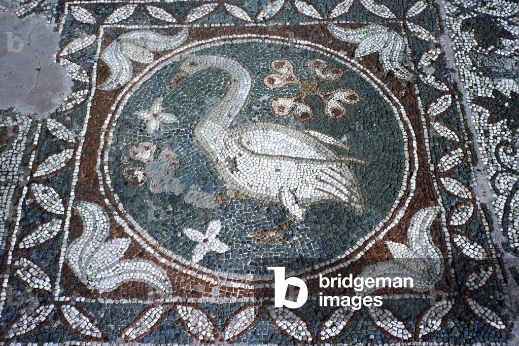 Roman mosaic. Swan. Soli ruins. N. Cyprus