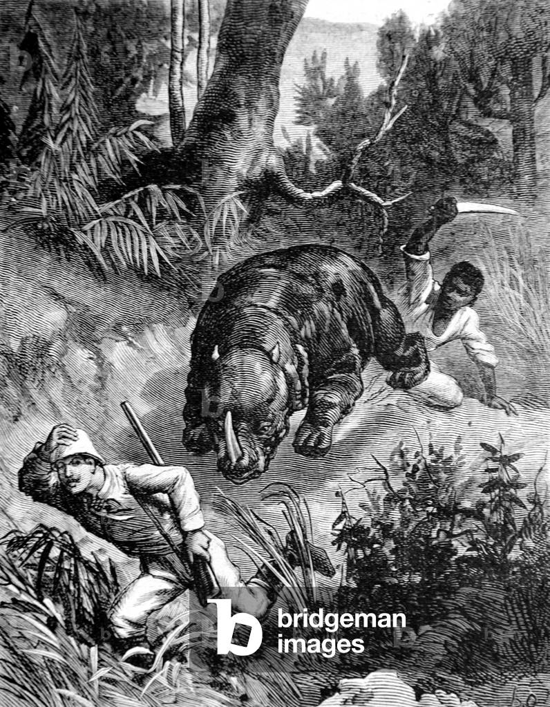 Rhino or Rhinoceros Charging Colonial Hunter Africa, 1885 (engraving)