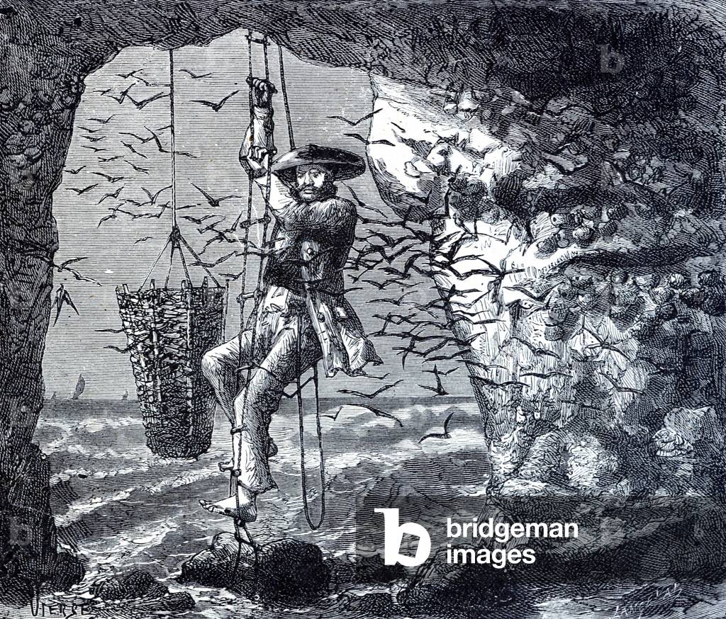 Birds Nest Hunter, 1883 (engraving)