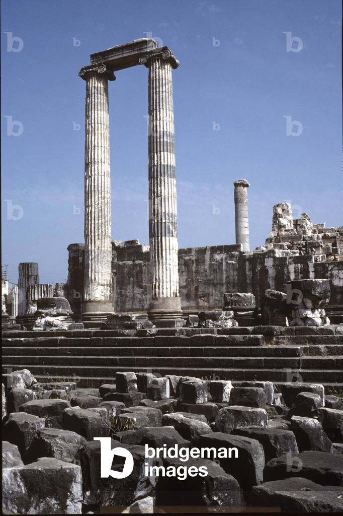 Temple of Apollo, Didyma, c4th cent. BC. Ionic columns, Turkey