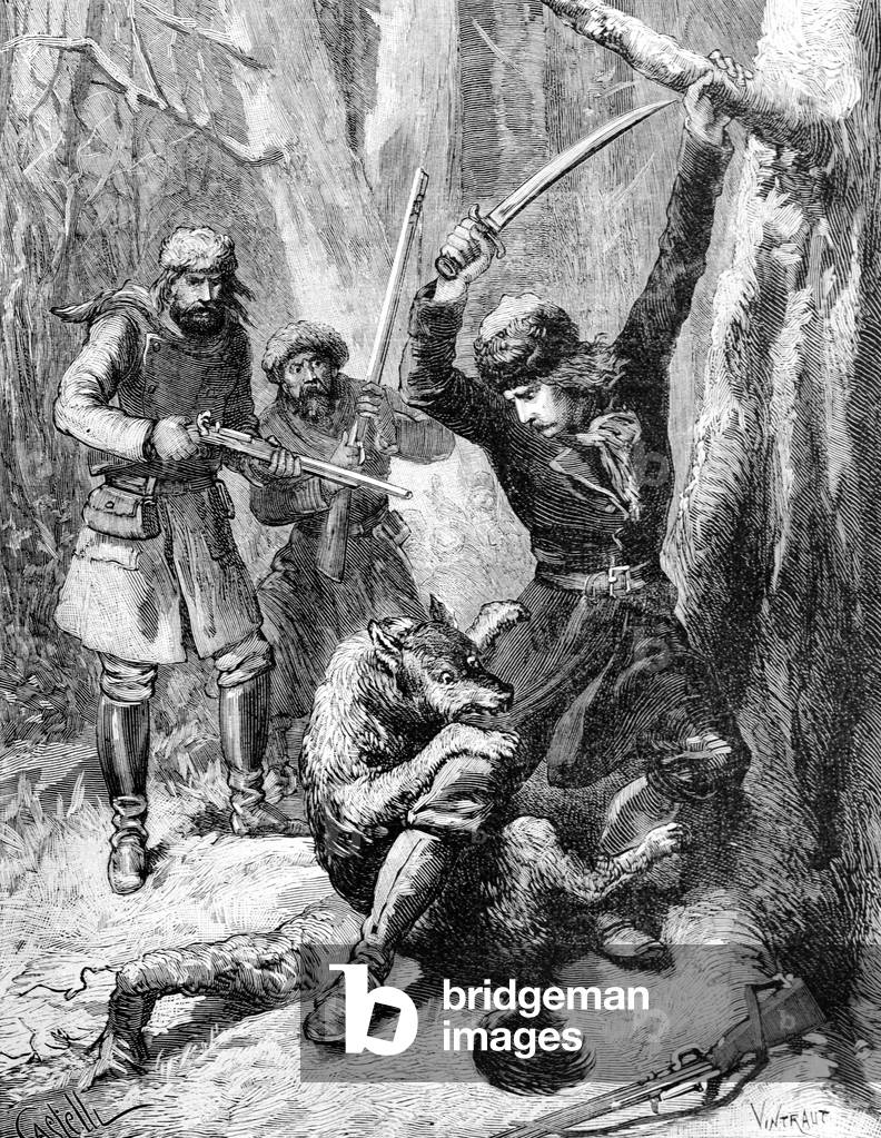 Wolf Attack Canada, 1886 (engraving)