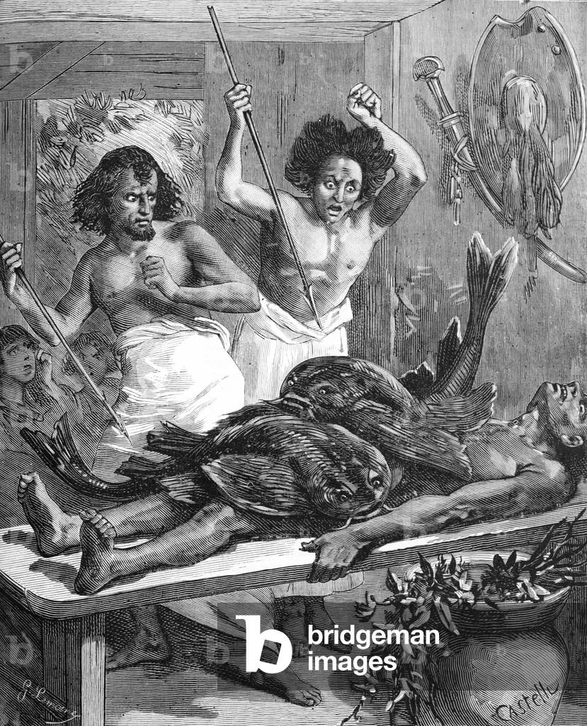 Electric Fish prob Catfish Used to Treat Fever in Abyssinia or Ethiopia, 1885 (engraving)