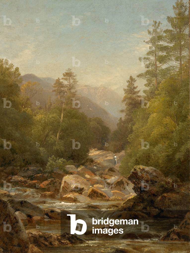 Ausable River, 1861 (oil on canvas) 
