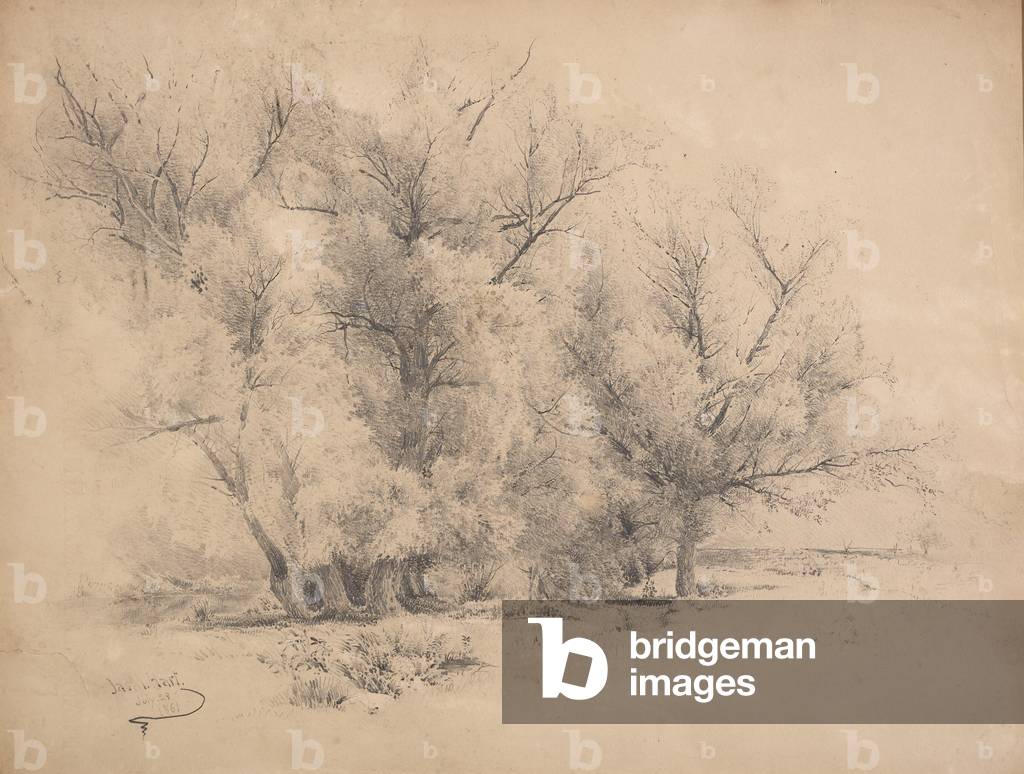 The Copse, 1861 (pencil on paper) 