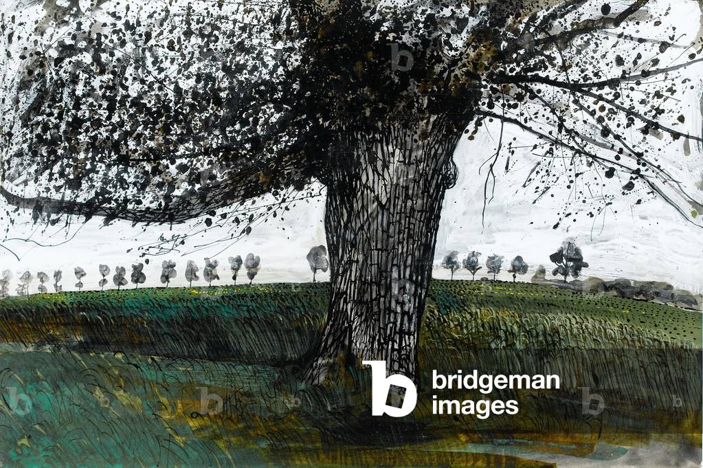 Old oak tree near Braintree, Essex (w/c on paper)