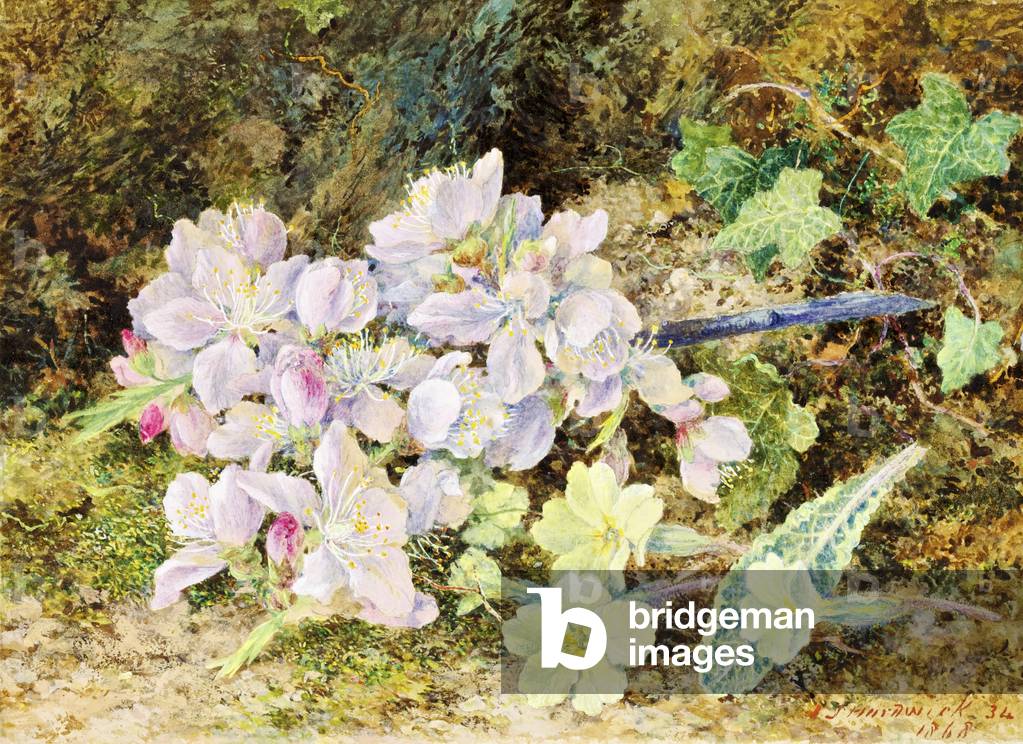 Almond Blossoms and Primroses, 1868 (w/c on card)