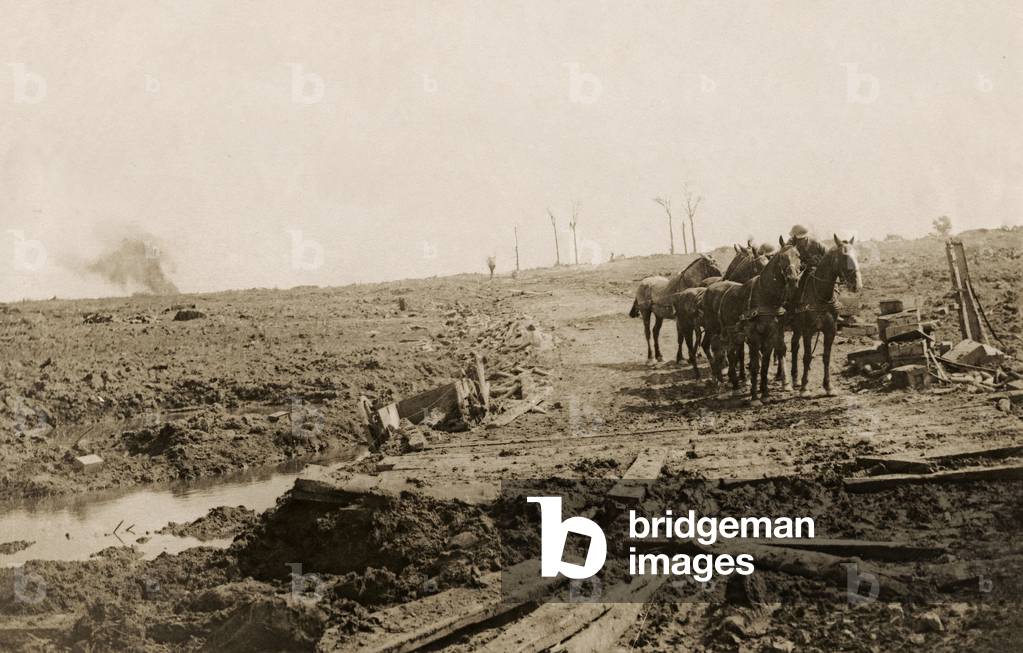 Scene near Zillebeke, Flanders, 1914-18 (b/w photo)