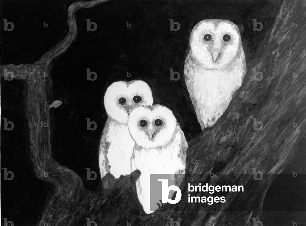 Barn Owls, 1992 (oil on board) 