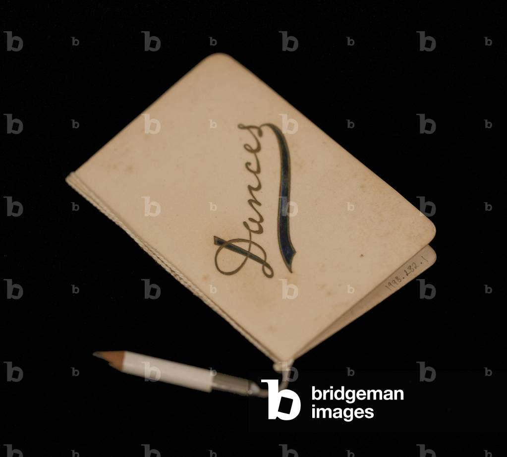 Dance card and pencil, c.1920 (card)