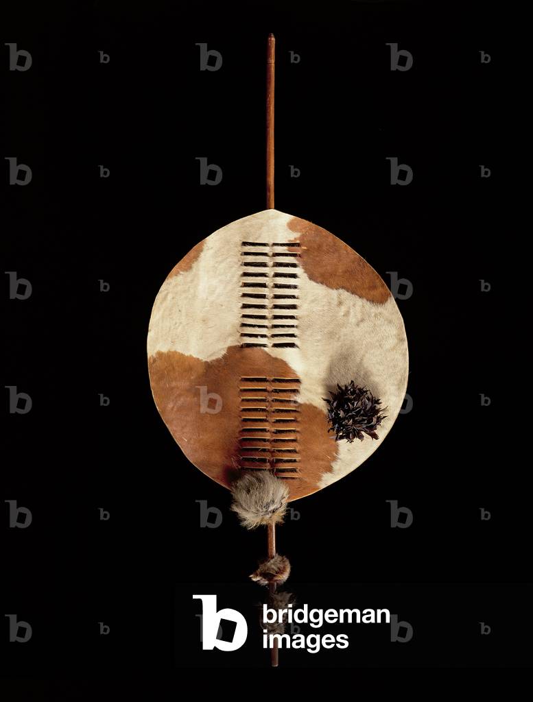 Swazi Shield, c.1870 (hide, lion fur, feathers & wood)