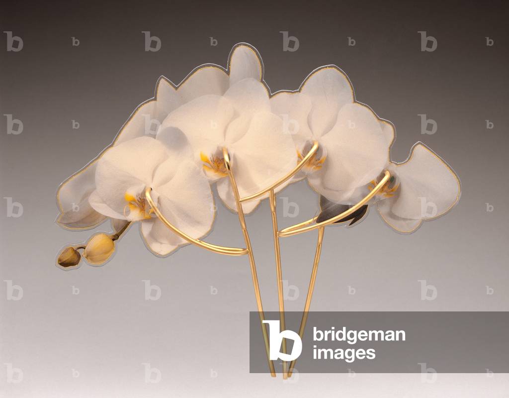 Comb, 1989-1990 (PVC, print and gilded brass)