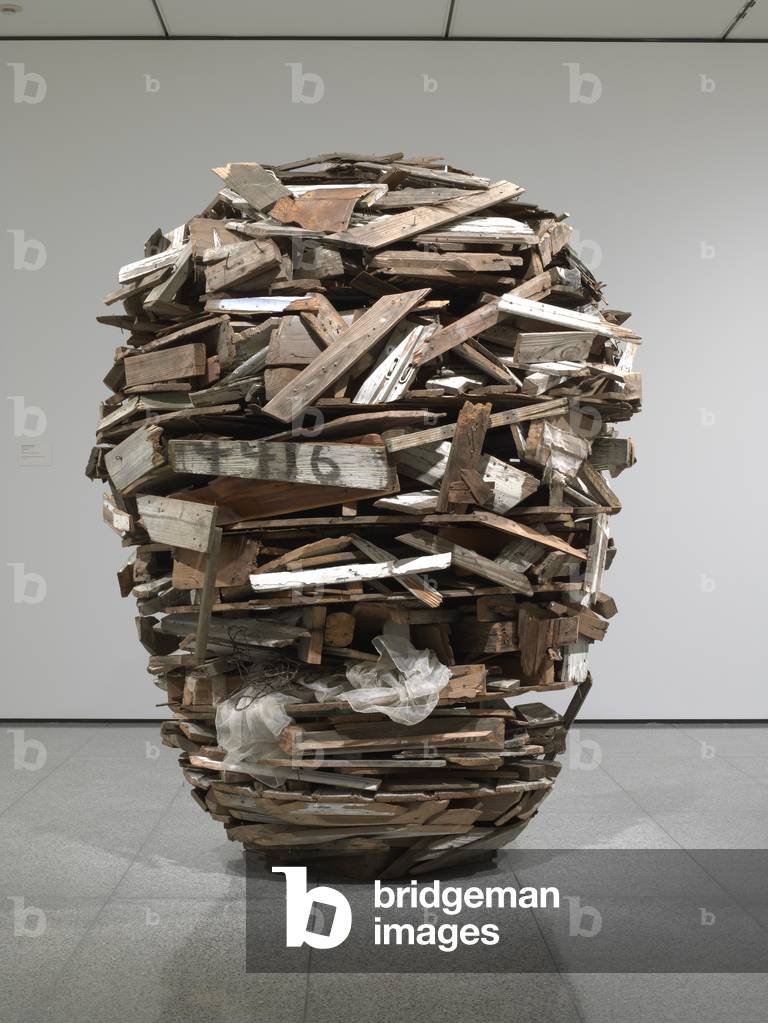 Trespass 4416, 2007 (wood and found materials)